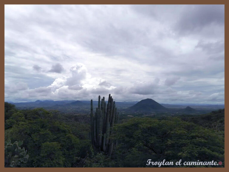 Paisaje-paisaje-con-organo-con-marco